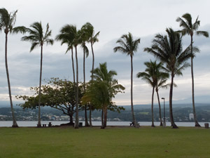 hawaii 2011