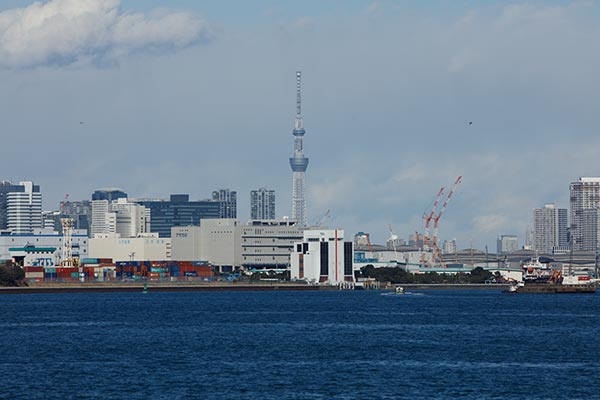skytree-ef-300